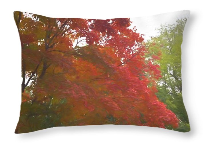 Maple Tree In October - Throw Pillow