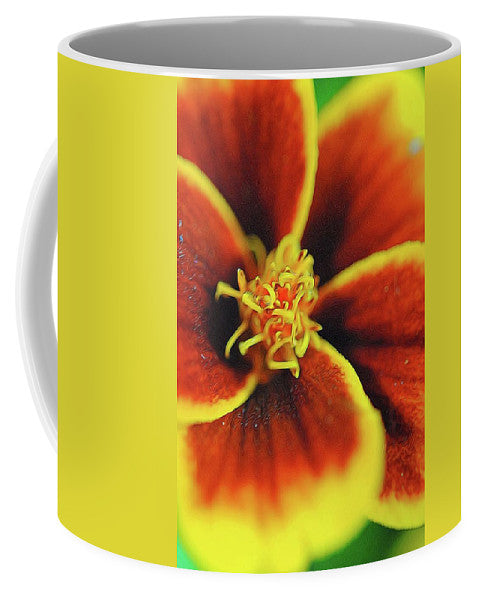 Marigold Center - Mug