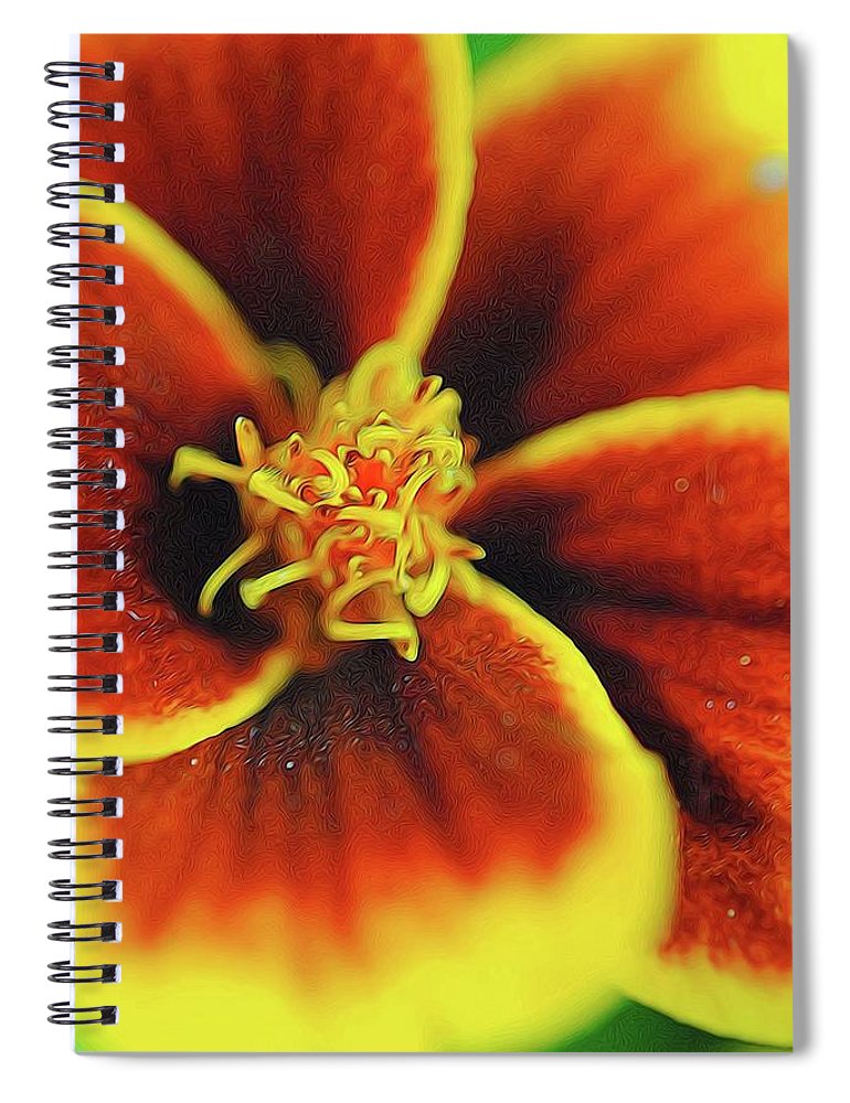 Marigold Center - Spiral Notebook