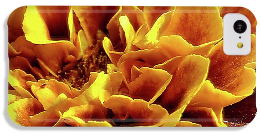 Marigold Close Up - Phone Case