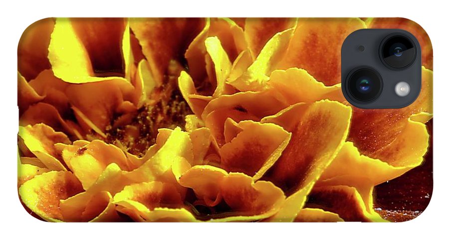 Marigold Close Up - Phone Case