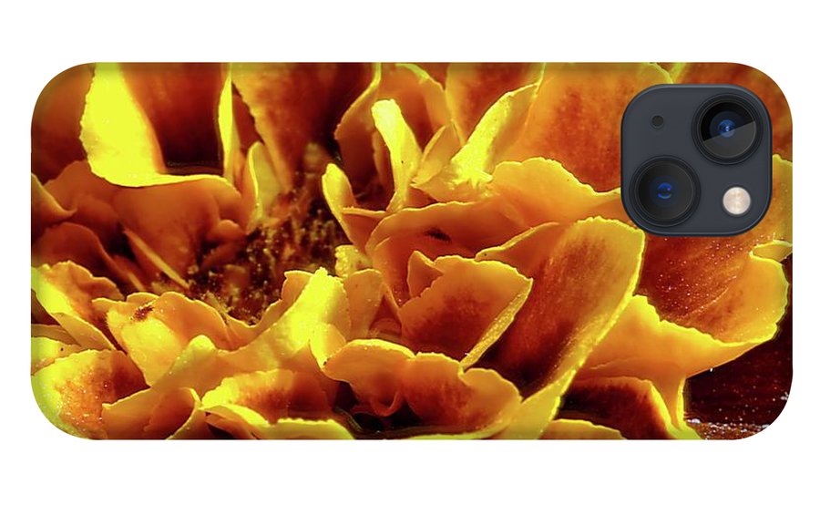 Marigold Close Up - Phone Case