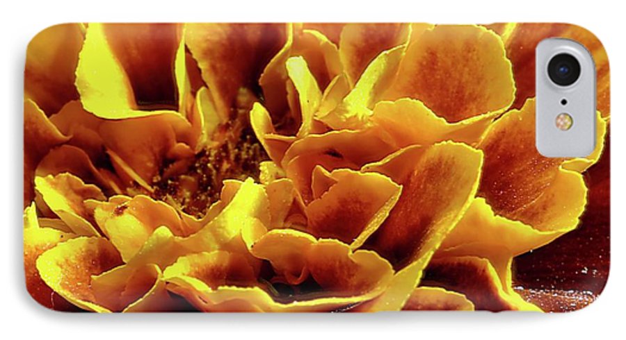 Marigold Close Up - Phone Case