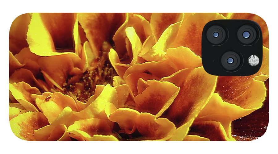 Marigold Close Up - Phone Case