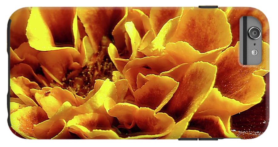 Marigold Close Up - Phone Case