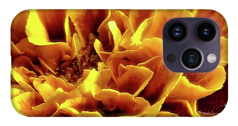 Marigold Close Up - Phone Case