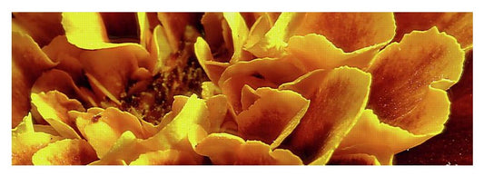 Marigold Close Up - Yoga Mat