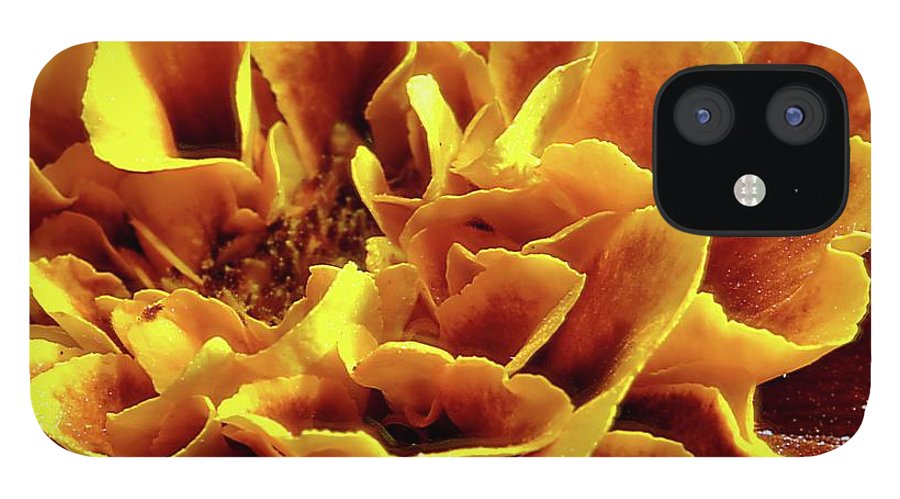 Marigold Close Up - Phone Case