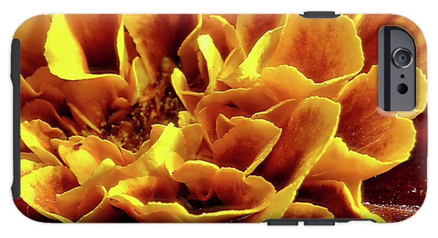Marigold Close Up - Phone Case