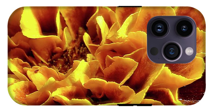 Marigold Close Up - Phone Case