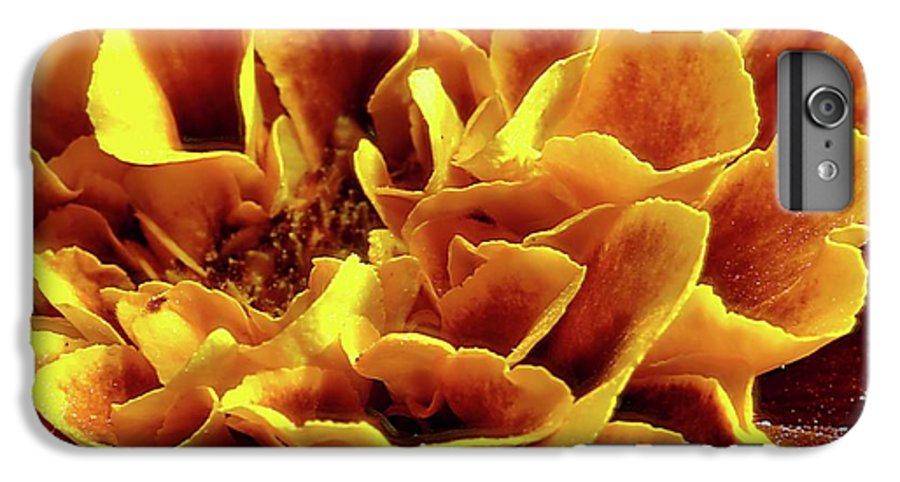 Marigold Close Up - Phone Case