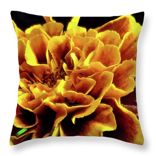 Marigold Close Up - Throw Pillow