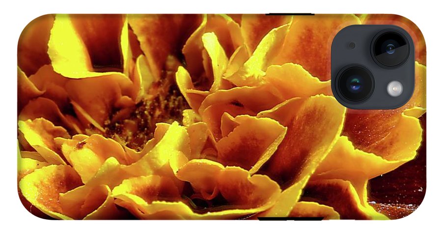 Marigold Close Up - Phone Case