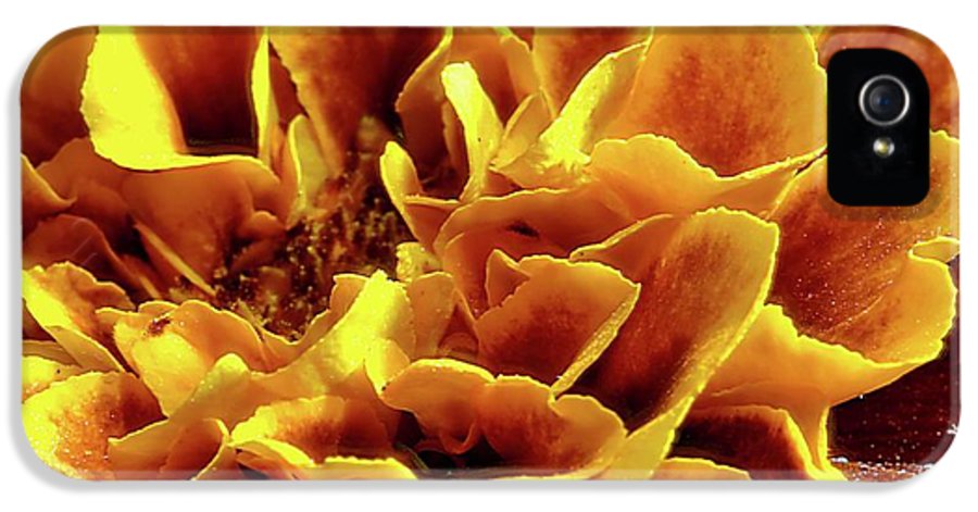 Marigold Close Up - Phone Case