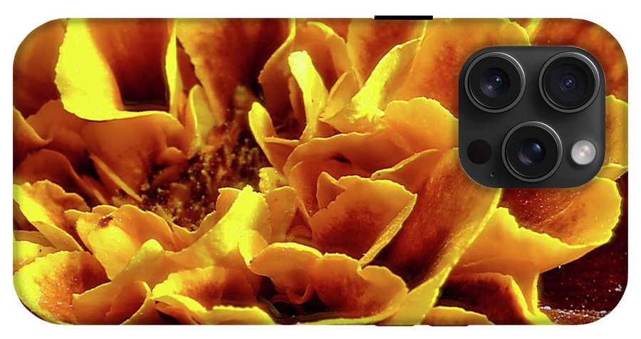 Marigold Close Up - Phone Case