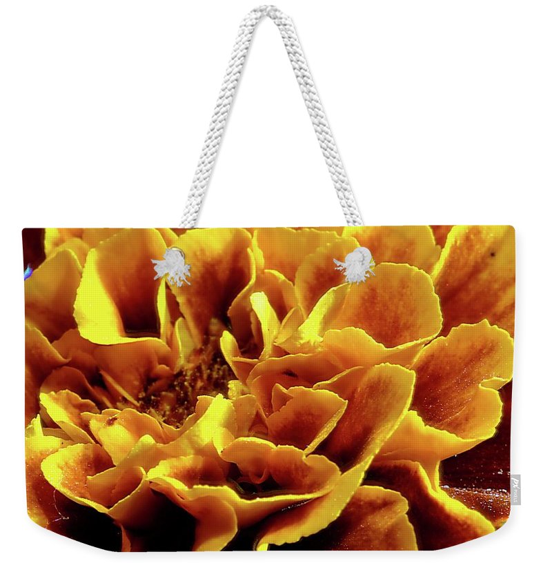 Marigold Close Up - Weekender Tote Bag