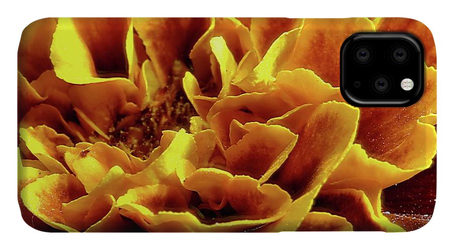 Marigold Close Up - Phone Case