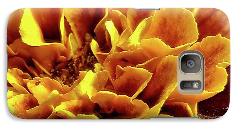 Marigold Close Up - Phone Case