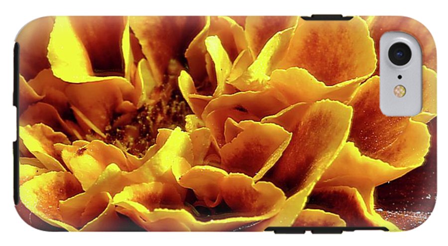 Marigold Close Up - Phone Case
