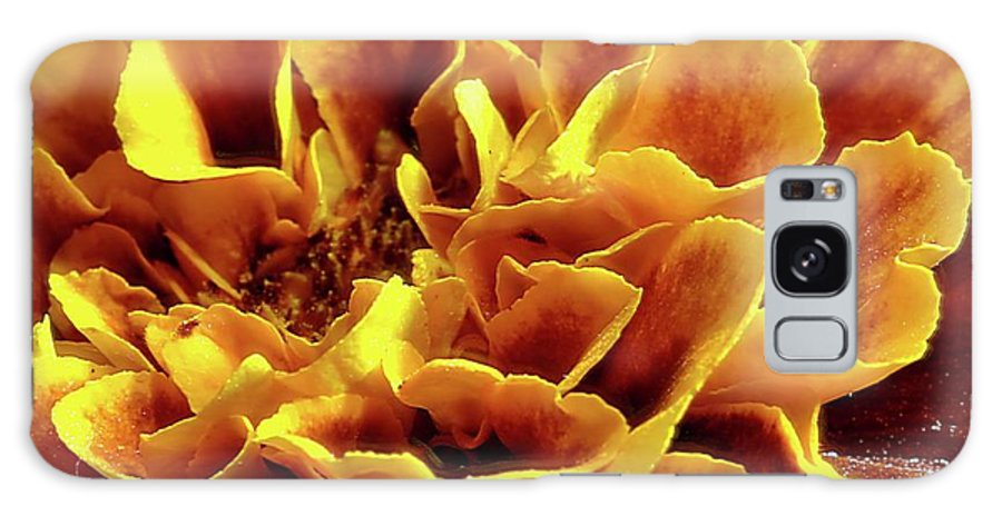 Marigold Close Up - Phone Case