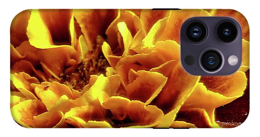 Marigold Close Up - Phone Case
