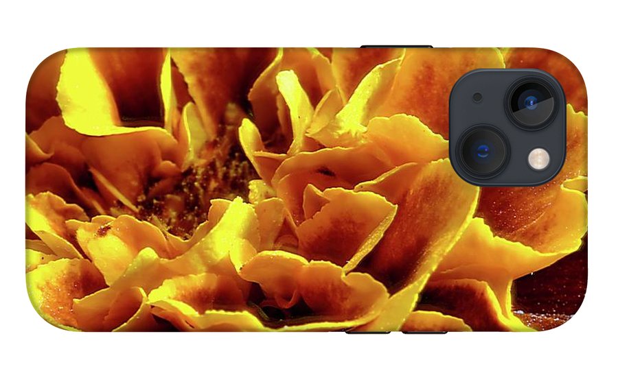 Marigold Close Up - Phone Case