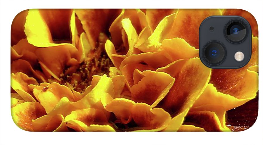 Marigold Close Up - Phone Case