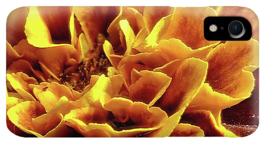 Marigold Close Up - Phone Case