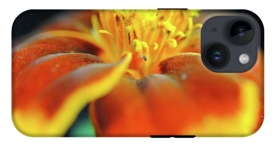 Marigold With Pollen - Phone Case