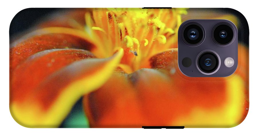 Marigold With Pollen - Phone Case