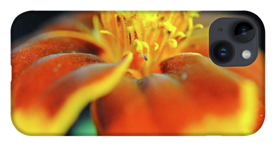 Marigold With Pollen - Phone Case