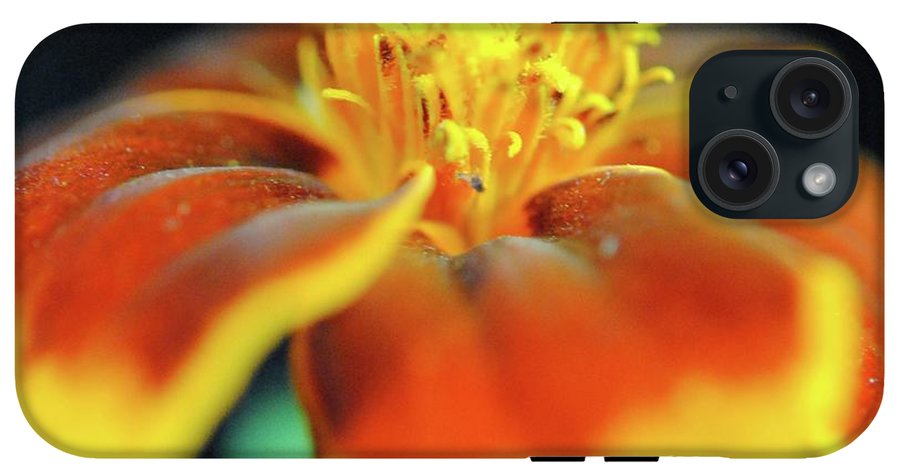 Marigold With Pollen - Phone Case