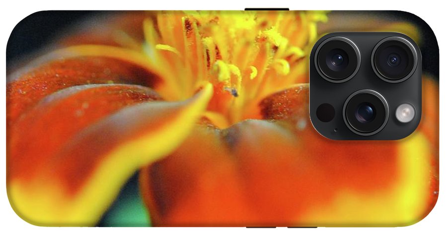 Marigold With Pollen - Phone Case