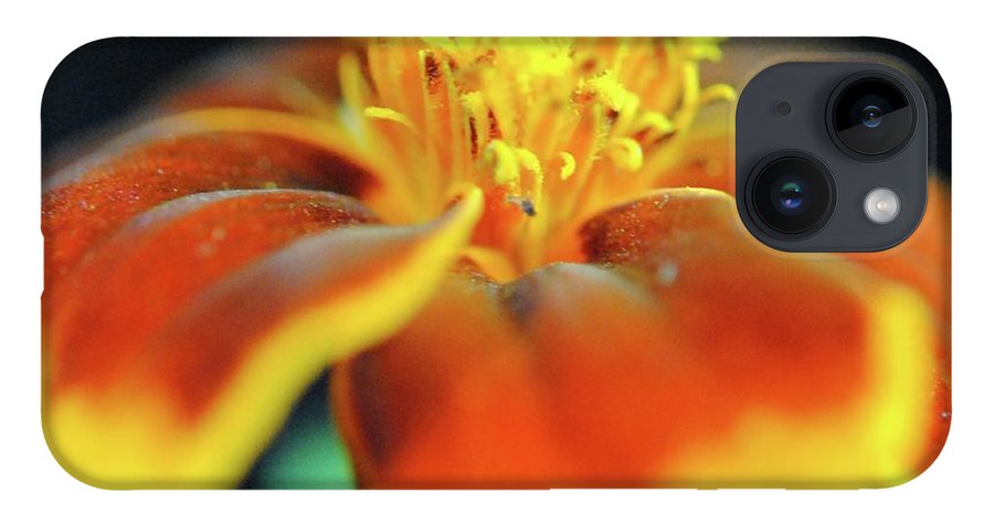 Marigold With Pollen - Phone Case