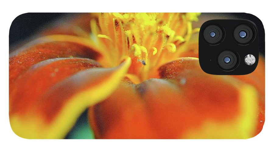 Marigold With Pollen - Phone Case