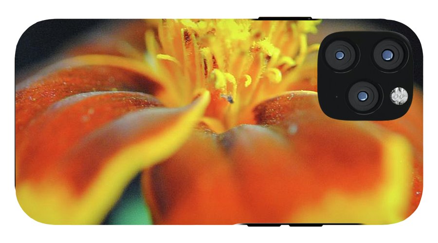 Marigold With Pollen - Phone Case