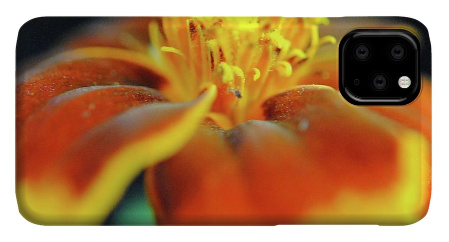 Marigold With Pollen - Phone Case
