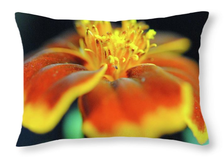 Marigold With Pollen - Throw Pillow