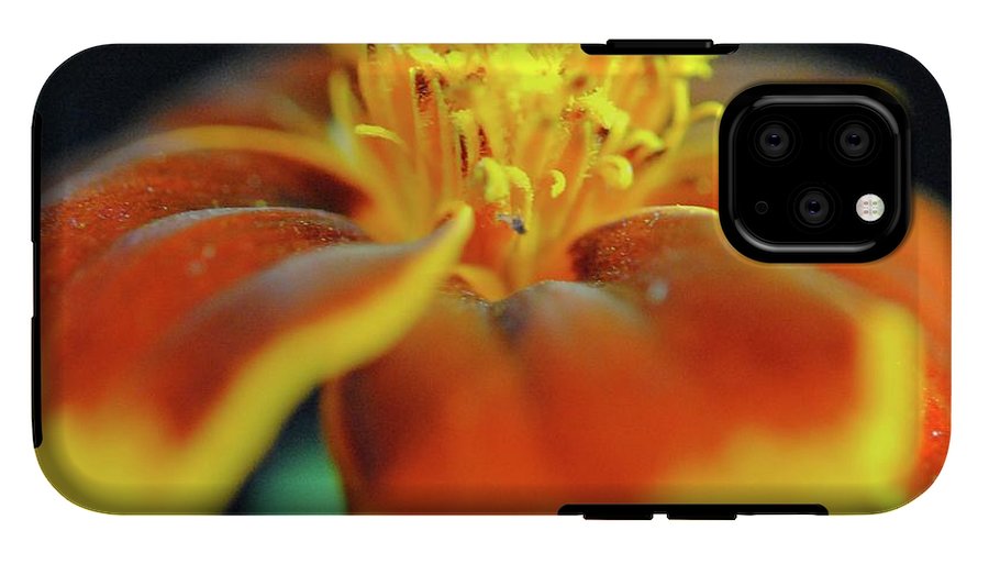 Marigold With Pollen - Phone Case