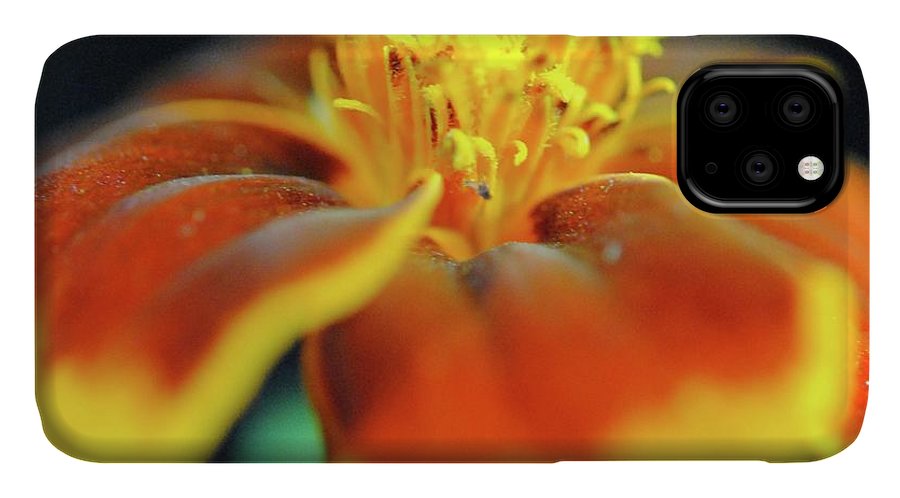 Marigold With Pollen - Phone Case