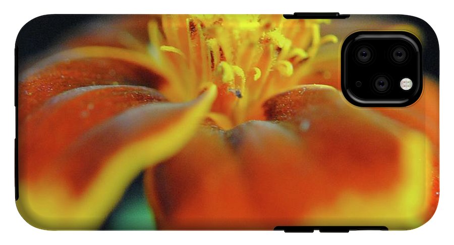 Marigold With Pollen - Phone Case