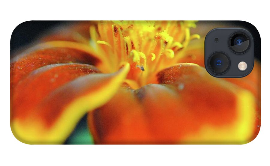 Marigold With Pollen - Phone Case