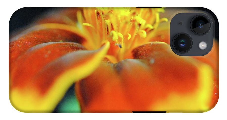 Marigold With Pollen - Phone Case