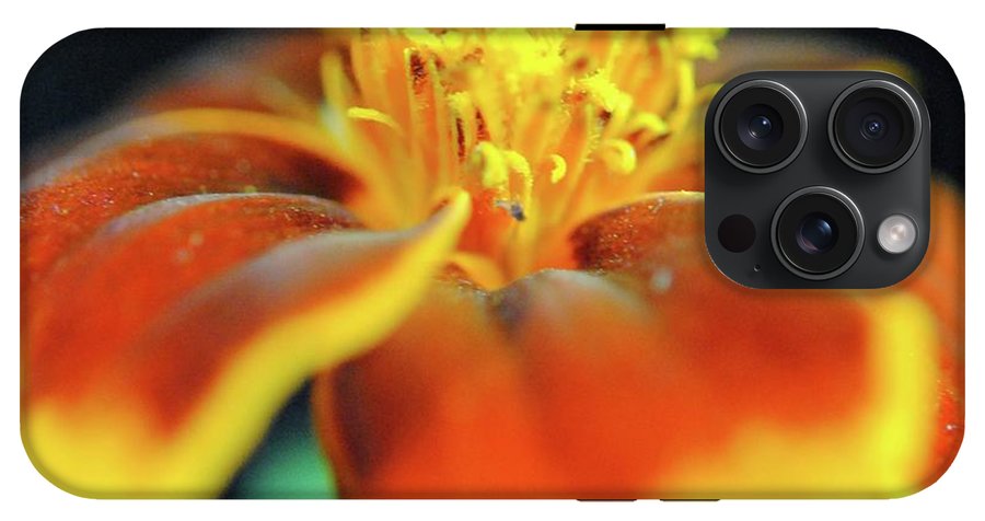 Marigold With Pollen - Phone Case