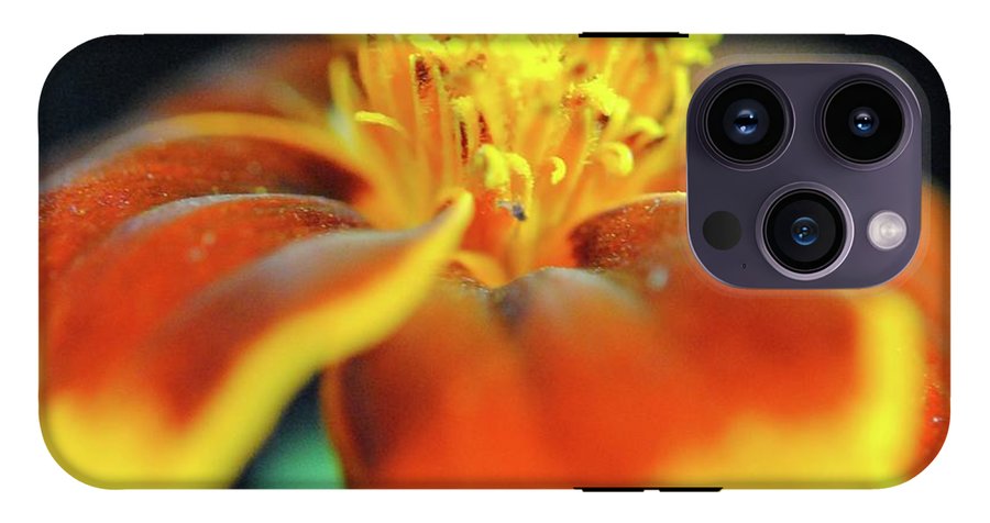 Marigold With Pollen - Phone Case