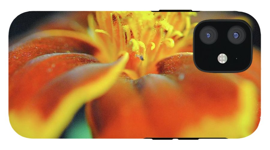 Marigold With Pollen - Phone Case