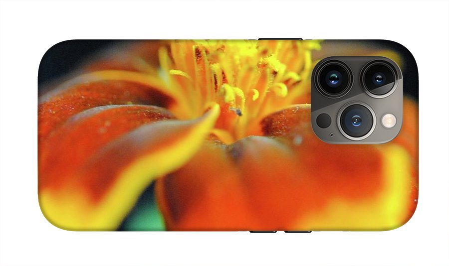 Marigold With Pollen - Phone Case