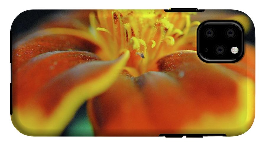 Marigold With Pollen - Phone Case