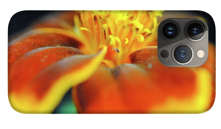 Marigold With Pollen - Phone Case