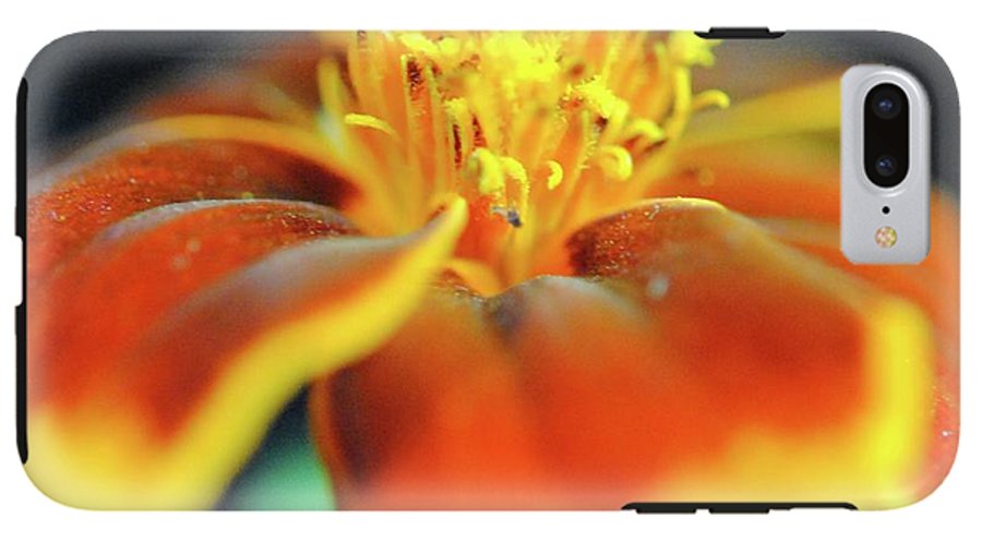 Marigold With Pollen - Phone Case